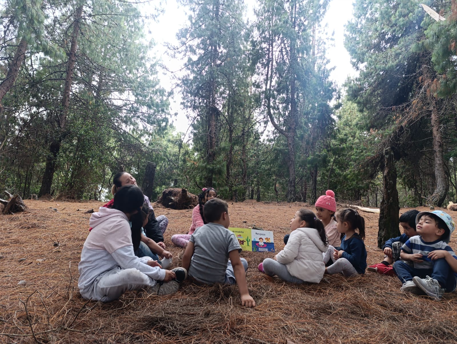 Foto 4 de la biblioteca